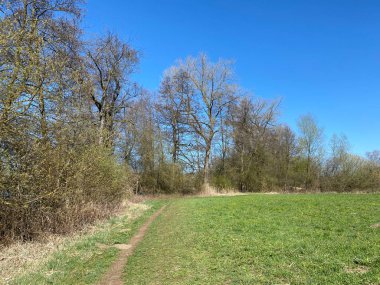 Mauensee Gölü veya Mauesee Gölü (Mauesee) - İsviçre Lucerne Kantonu (Schweiz)