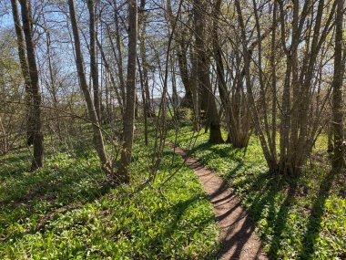 Mauensee Gölü veya Mauesee Gölü (Mauesee) - İsviçre Lucerne Kantonu (Schweiz)