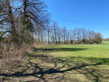 Mauensee Gölü veya Mauesee Gölü (Mauesee) - İsviçre 'nin Lucerne Kantonu (Schweiz)