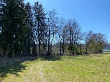 Mauensee Gölü veya Mauesee Gölü (Mauesee) - İsviçre 'nin Lucerne Kantonu (Schweiz)