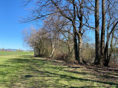 Mauensee Gölü veya Mauesee Gölü (Mauesee) - İsviçre 'nin Lucerne Kantonu (Schweiz)