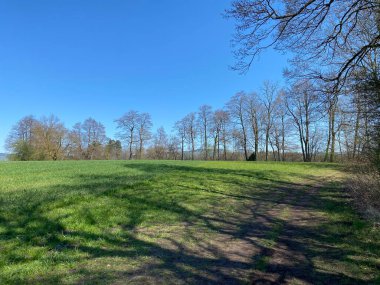 Mauensee Gölü veya Mauesee Gölü (Mauesee) - İsviçre 'nin Lucerne Kantonu (Schweiz)