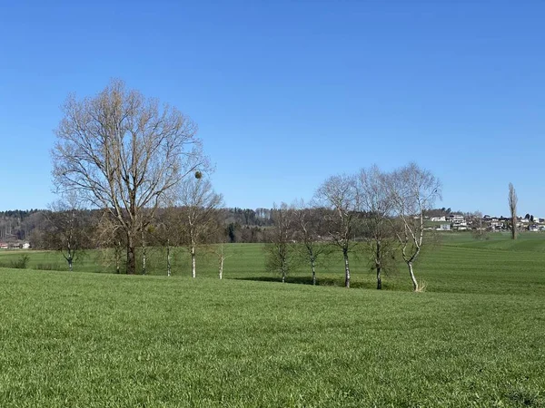 Paisagem Natural Com Pastagens Início Primavera Florestas Mistas Nas Clareiras — Fotografia de Stock