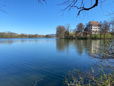 Mauensee Şatosu (Schloss Mauensee) Mauen Gölü 'ndeki küçük bir göl adasında (Mauesee) - İsviçre, Lucerne Kantonu (Schweiz)