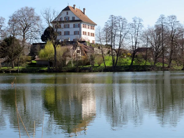 Schloss Mauensee Auf Einer Kleinen Seeinsel Mauesee Kanton Luzern Schweiz — Stockfoto