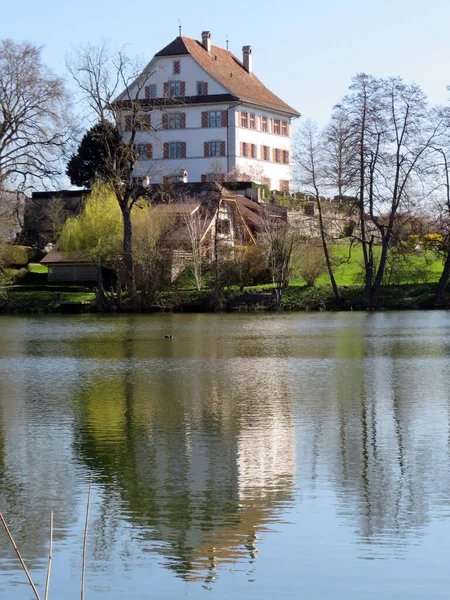 Schloss Mauensee Auf Einer Kleinen Seeinsel Mauesee Kanton Luzern Schweiz — Stockfoto