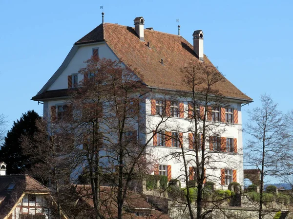 Замок Мауензеє Schloss Mauensee Невеликому Острові Біля Озера Мауен Mauesee — стокове фото