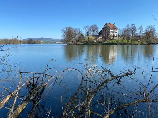 Castello Mauensee Schloss Mauensee Una Piccola Isola Sul Lago Mauen — Foto Stock