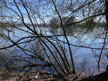 Mauensee Gölü veya Mauesee Gölü (Mauesee) - İsviçre, Lucerne Kantonu (Schweiz)