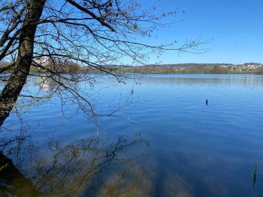 Mauensee Gölü veya Mauesee Gölü (Mauesee) - İsviçre, Lucerne Kantonu (Schweiz)