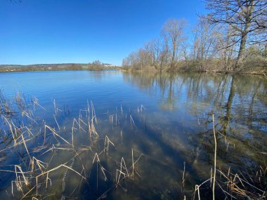 Mauensee Gölü veya Mauesee Gölü (Mauesee) - İsviçre, Lucerne Kantonu (Schweiz)
