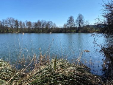 Mauensee Gölü veya Mauesee Gölü (Mauesee) - İsviçre, Lucerne Kantonu (Schweiz)