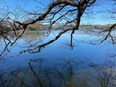 Mauensee Gölü veya Mauesee Gölü (Mauesee) - İsviçre, Lucerne Kantonu (Schweiz)