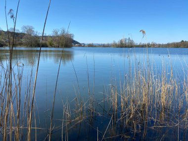 Mauensee Gölü veya Mauesee Gölü (Mauesee) - İsviçre, Lucerne Kantonu (Schweiz)