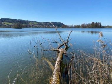 Mauensee Gölü veya Mauesee Gölü (Mauesee) - İsviçre, Lucerne Kantonu (Schweiz)