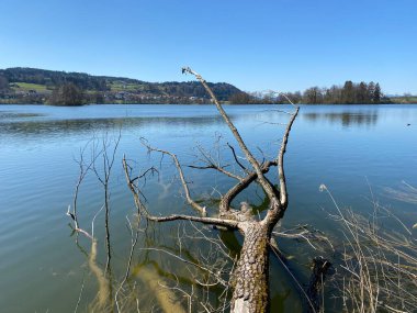 Mauensee Gölü veya Mauesee Gölü (Mauesee) - İsviçre, Lucerne Kantonu (Schweiz)