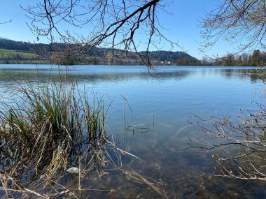 Mauensee Gölü veya Mauesee Gölü (Mauesee) - İsviçre, Lucerne Kantonu (Schweiz)