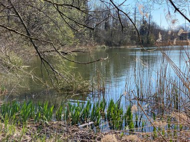Mauensee Gölü veya Mauesee Gölü (Mauesee) - İsviçre, Lucerne Kantonu (Schweiz)