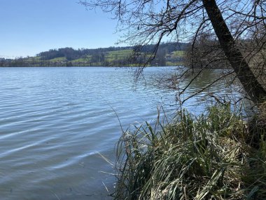 Mauensee Gölü veya Mauesee Gölü (Mauesee) - İsviçre, Lucerne Kantonu (Schweiz)