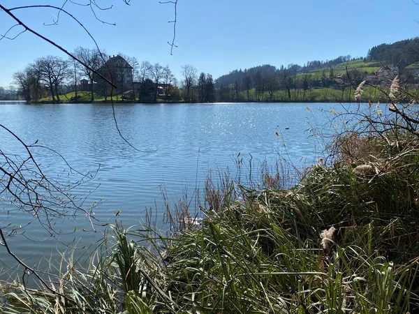 Mauensee Gölü Veya Mauesee Gölü Mauesee Sviçre Lucerne Kantonu Schweiz — Stok fotoğraf