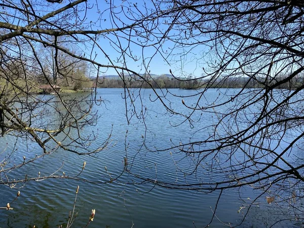 Late Winter Vroege Lente Aan Het Meer Mauensee Mauen Mauesee — Stockfoto