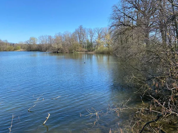 Fine Inverno Inizio Primavera Sul Lago Mauensee Sul Lago Mauen — Foto Stock