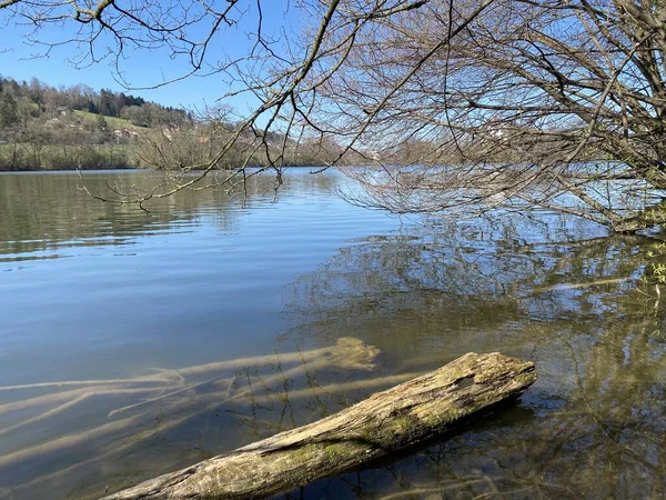 Fine Inverno Inizio Primavera Sul Lago Mauensee Sul Lago Mauen — Foto Stock