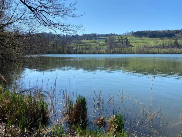 Inverno Tardio Início Primavera Lago Mauensee Lago Mauen Mauesee Cantão — Fotografia de Stock