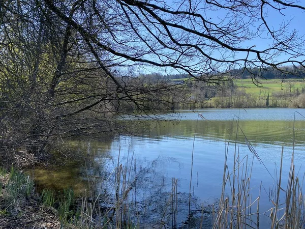 Inverno Tardio Início Primavera Lago Mauensee Lago Mauen Mauesee Cantão — Fotografia de Stock