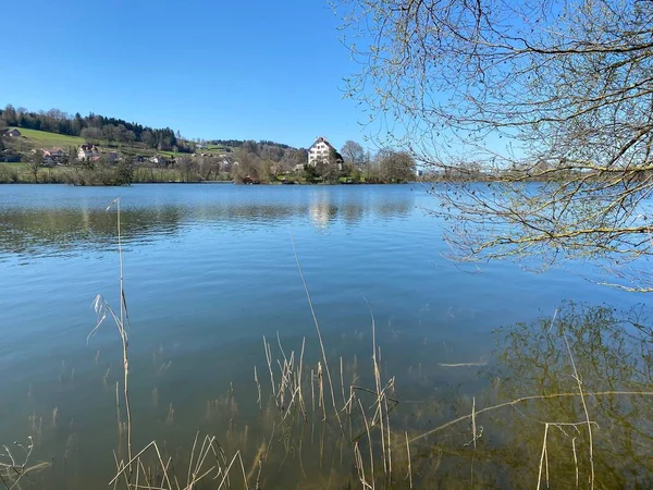 Late Winter Vroege Lente Aan Het Meer Mauensee Mauen Mauesee — Stockfoto