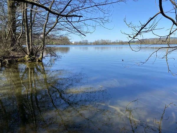 Inverno Tardio Início Primavera Lago Mauensee Lago Mauen Mauesee Cantão — Fotografia de Stock