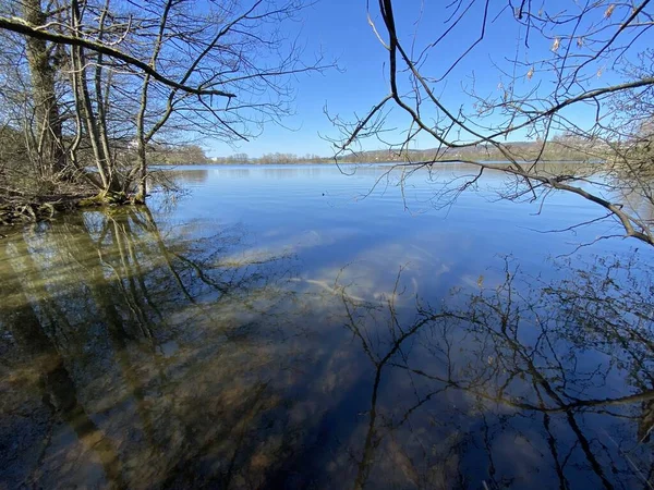 Inverno Tardio Início Primavera Lago Mauensee Lago Mauen Mauesee Cantão — Fotografia de Stock