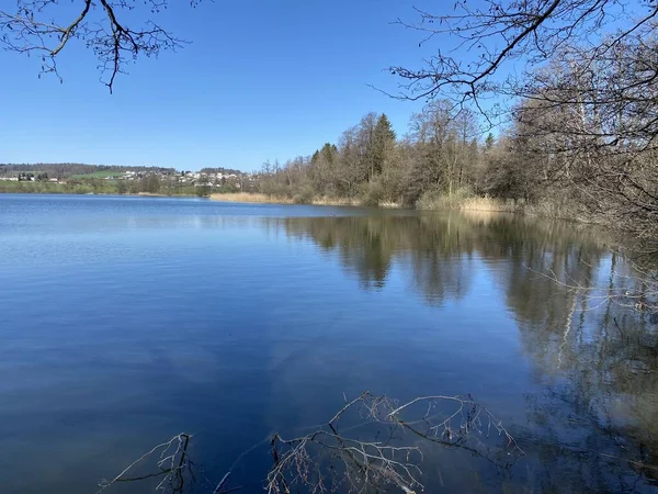 Inverno Tardio Início Primavera Lago Mauensee Lago Mauen Mauesee Cantão — Fotografia de Stock