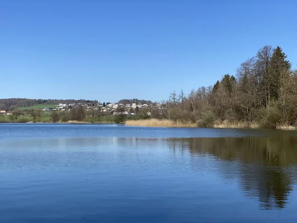 Inverno Tardio Início Primavera Lago Mauensee Lago Mauen Mauesee Cantão — Fotografia de Stock