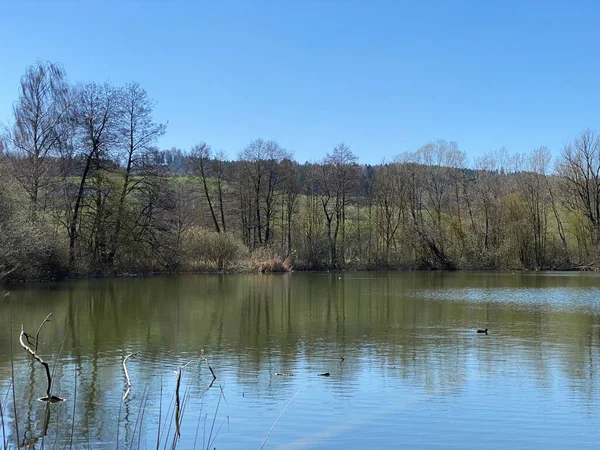 Spätwinter Und Vorfrühling Mauensee Oder Mauesee Kanton Luzern Schweiz Schweiz — Stockfoto