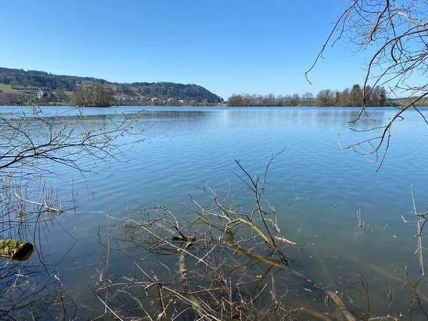 Inverno Tardio Início Primavera Lago Mauensee Lago Mauen Mauesee Cantão — Fotografia de Stock