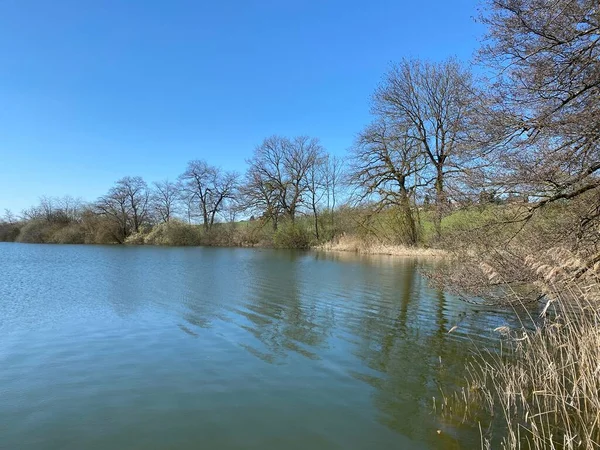 Invierno Tardío Primavera Temprana Lago Mauensee Lago Mauen Mauesee Cantón — Foto de Stock