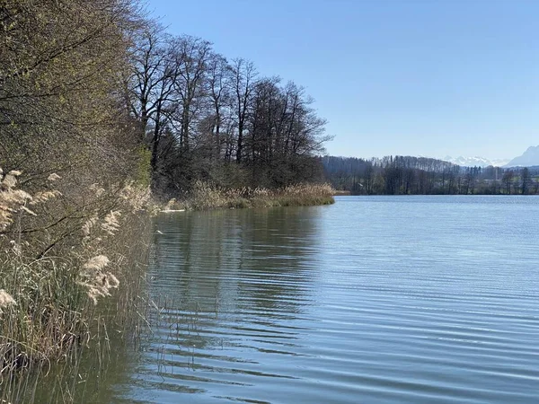 Fine Inverno Inizio Primavera Sul Lago Mauensee Sul Lago Mauen — Foto Stock