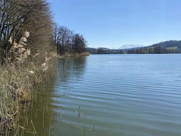 Inverno Tardio Início Primavera Lago Mauensee Lago Mauen Mauesee Cantão — Fotografia de Stock