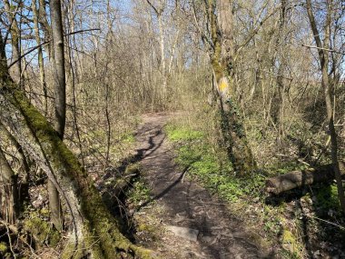 Mauensee Gölü ya da Mauesee Gölü (Mauesee) - İsviçre 'nin Lucerne Kantonu (Schweiz)