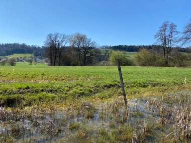 Mauensee Gölü veya Mauesee Gölü (Mauesee) boyunca uzanan vadideki küçük göller ve ova sulak otlakları İsviçre 'nin Lucerne Kantonu (Schweiz)
