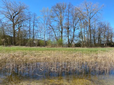 Mauensee Gölü veya Mauesee Gölü (Mauesee) boyunca uzanan vadideki küçük göller ve ova sulak otlakları İsviçre 'nin Lucerne Kantonu (Schweiz)