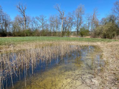 Mauensee Gölü veya Mauesee Gölü (Mauesee) boyunca uzanan vadideki küçük göller ve ova sulak otlakları İsviçre 'nin Lucerne Kantonu (Schweiz)