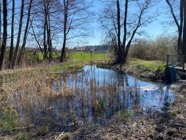 Mauensee Gölü veya Mauesee Gölü (Mauesee) boyunca uzanan vadideki küçük göller ve ova sulak otlakları İsviçre 'nin Lucerne Kantonu (Schweiz)