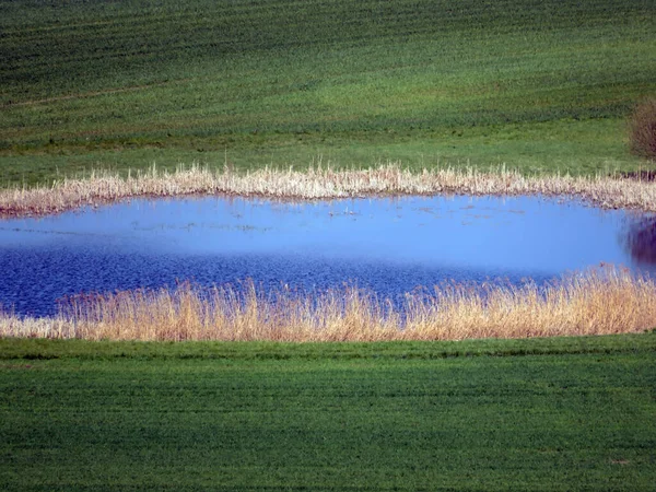 Small Ponds Lowland Wetland Pastures Valley Lake Mauensee Lake Mauen — Stock Photo, Image