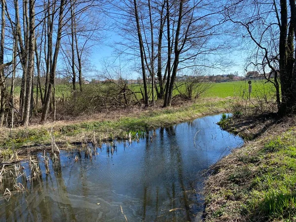 Mauensee Gölü veya Mauesee Gölü (Mauesee) boyunca uzanan vadideki küçük göller ve ova sulak otlakları İsviçre 'nin Lucerne Kantonu (Schweiz)