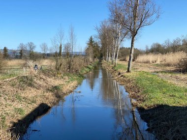 Doğal koruma alanı Wauwilermoos (Naturschutzgebiet Wauwilermoos) ve bataklık ovaları, Wauwil - Kanton Lucerne, İsviçre (Schweiz)