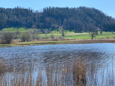 Doğal koruma alanı Hagimoos (Naturschutzgebiet Hagimoos) bataklık ovaları ve çayırları ile, Kottwil - Lucerne Kantonu, İsviçre (Schweiz)