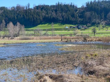 Doğal koruma alanı Hagimoos (Naturschutzgebiet Hagimoos) bataklık ovaları ve çayırları ile, Kottwil - Lucerne Kantonu, İsviçre (Schweiz)