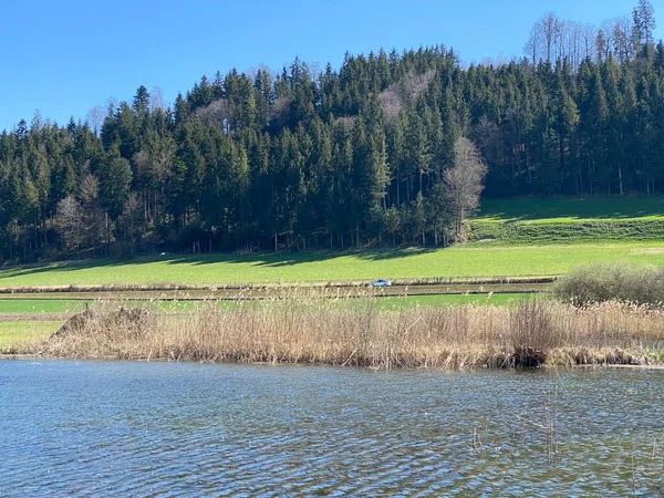 Natuurbeschermingsgebied Hagimoos Naturschutzgebiet Hagimoos Met Moerassige Laaglanden Weiden Kottwil Kanton — Stockfoto